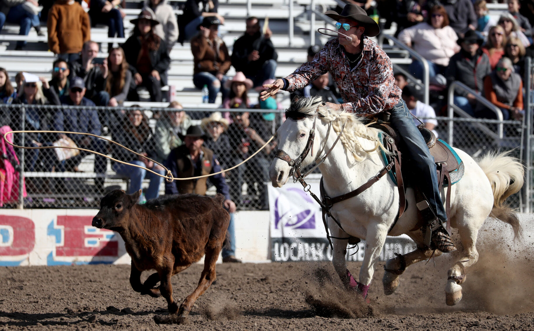 Tucson Rodeo